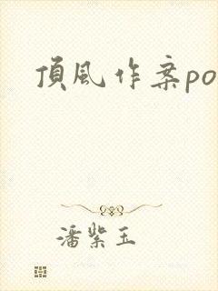 顶风作案po封面