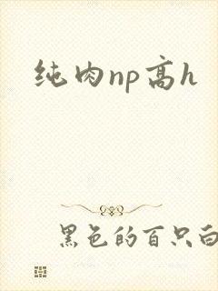 纯肉np高h