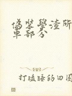伪装学渣所有开车部分