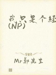 我只是个经纪人(NP)