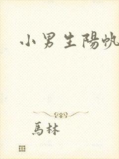 小男生阳帆封面