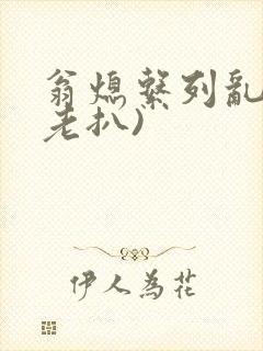 翁熄系列乱 (老扒)