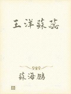王洋苏蕊封面