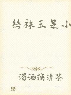 丝袜玉足小说