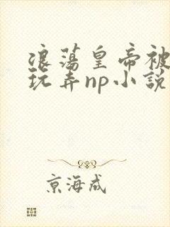 浪荡皇帝被多人玩弄np小说
