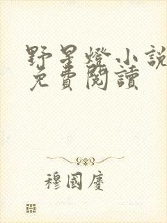 野星灯小说全文免费阅读封面