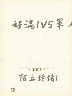 好满1V5军人封面