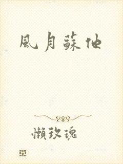 风月苏他封面