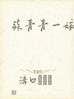 苏青青一嫁三夫封面