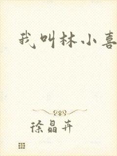 我叫林小喜17封面