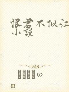 恨君不似江楼月小说
