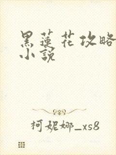 黑莲花攻略手册小说