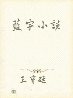 蓝宇小说封面