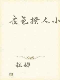 夜色撩人小说