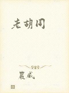 老胡同
