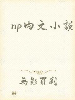 np肉文小说封面