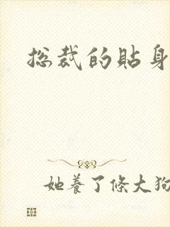 总裁的贴身女佣