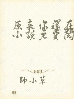 原来你还在这里小说免费阅读