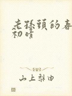 老孙头的春天林初晴