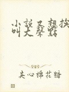 小说又想挨C了叫大声点