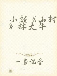 小说《山村情事》林大牛