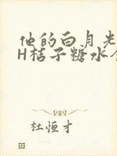 他的白月光HVH桔子糖水全文