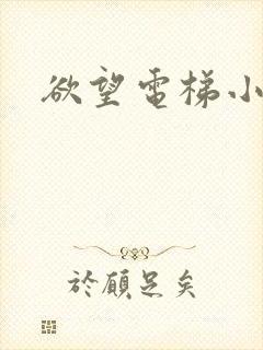 欲望电梯小说