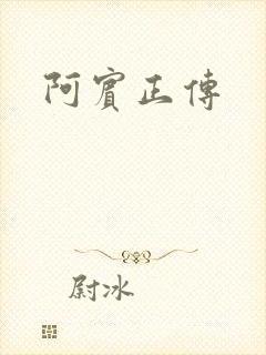 阿宾正传