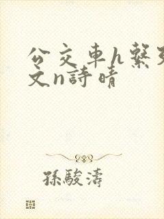 公交车h系列辣文n诗晴