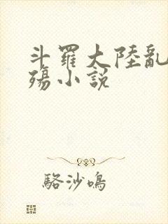斗罗大陆乱世浮殇小说
