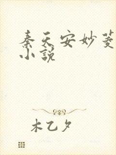 秦天安妙菱修仙小说封面