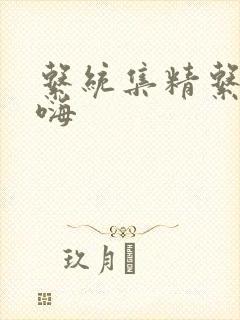 系统集精系统高嗨封面