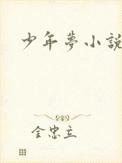 少年梦小说