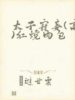 太子宠妾(高肉)红烧肉包