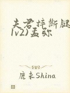 夫君摔断腿后(1v2)孟弥封面