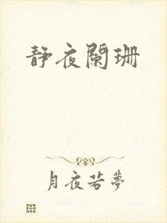 静夜阑珊