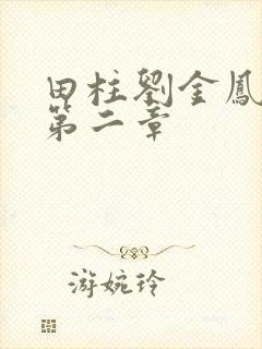 田柱刘金凤小说第二章封面