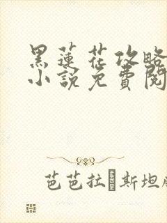 黑莲花攻略手册小说免费阅读全文