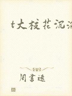 t大校花沉沦