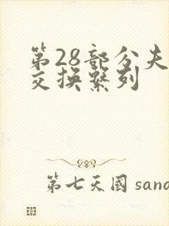 第28部分夫妇交换系列