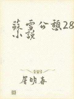 苏雪公憩28篇小说封面