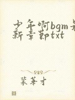 少年啊bgm最新章节txt封面