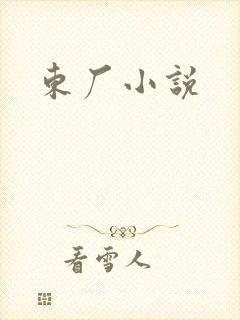 东厂小说封面