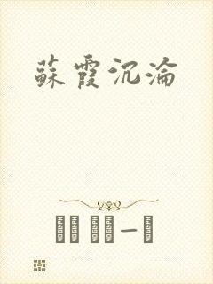 苏霞沉沦封面