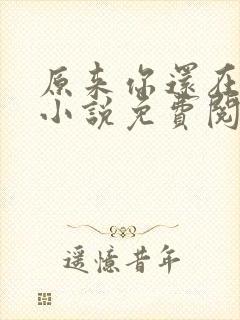 原来你还在这里小说免费阅读封面