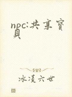 npc:共享宝贝