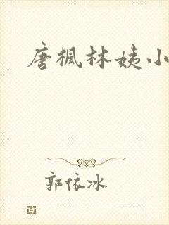 唐枫林姨小说