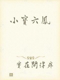 小宝六凤
