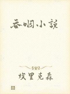 吞咽小说