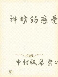 神明的恋爱游戏